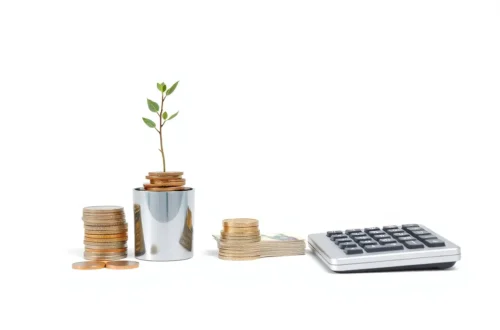 example 31 급여 외 추가 수입, N가지 재테크 비법